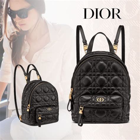 valigia christian dior|christian dior backpack.